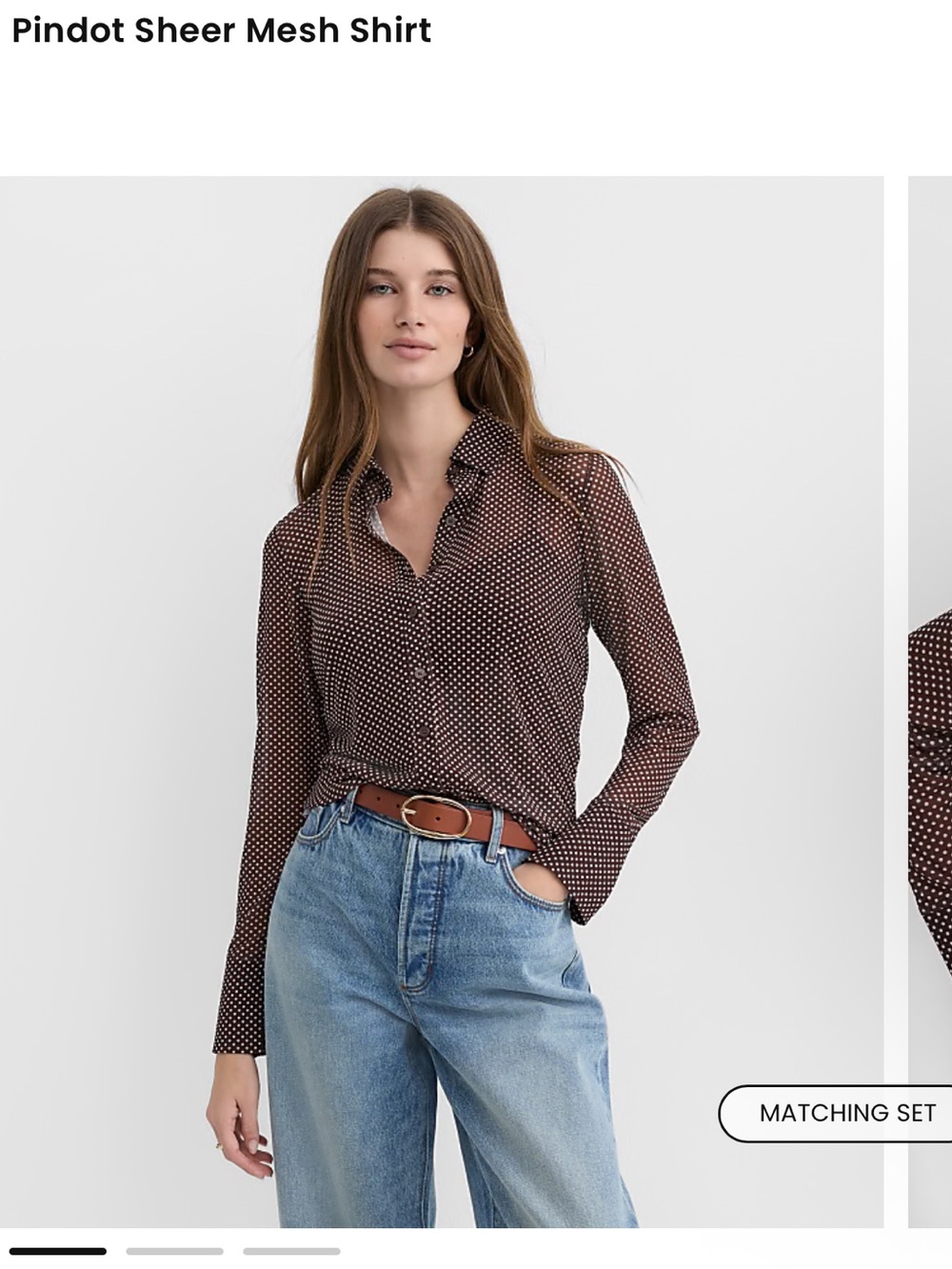 LOFT Women’s Pindot Sheer Mesh Shirt - Brown/White Polka Dot Sz M NWT